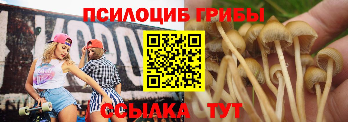 Феодосия  Галлюциногенные грибы GOLDEN TEACHER  Вход с VPN 