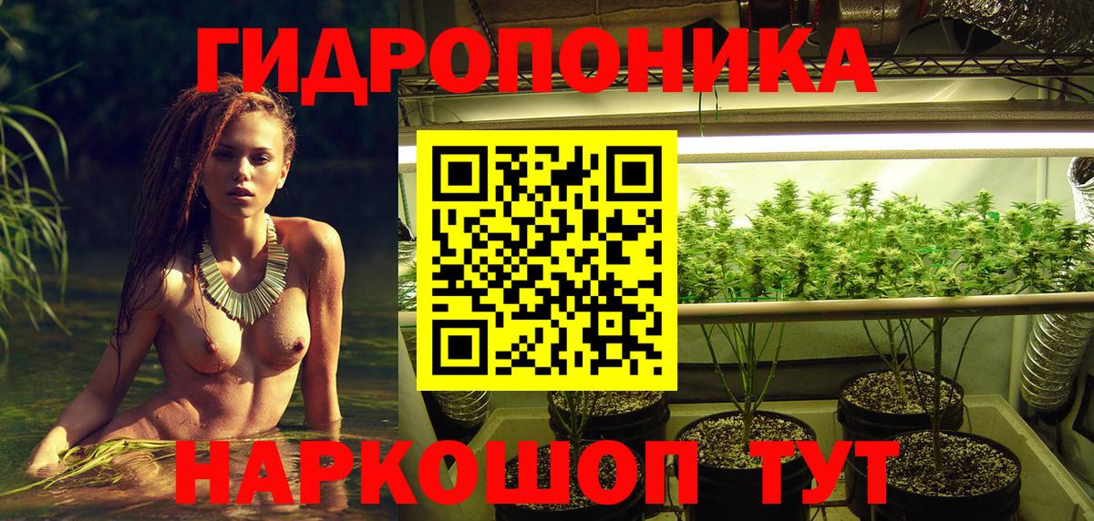 МАРИХУАНА Ganja  МАРИХУАНА план  Феодосия  Вход с VPN  Марихуана сатива  Конопля индика 